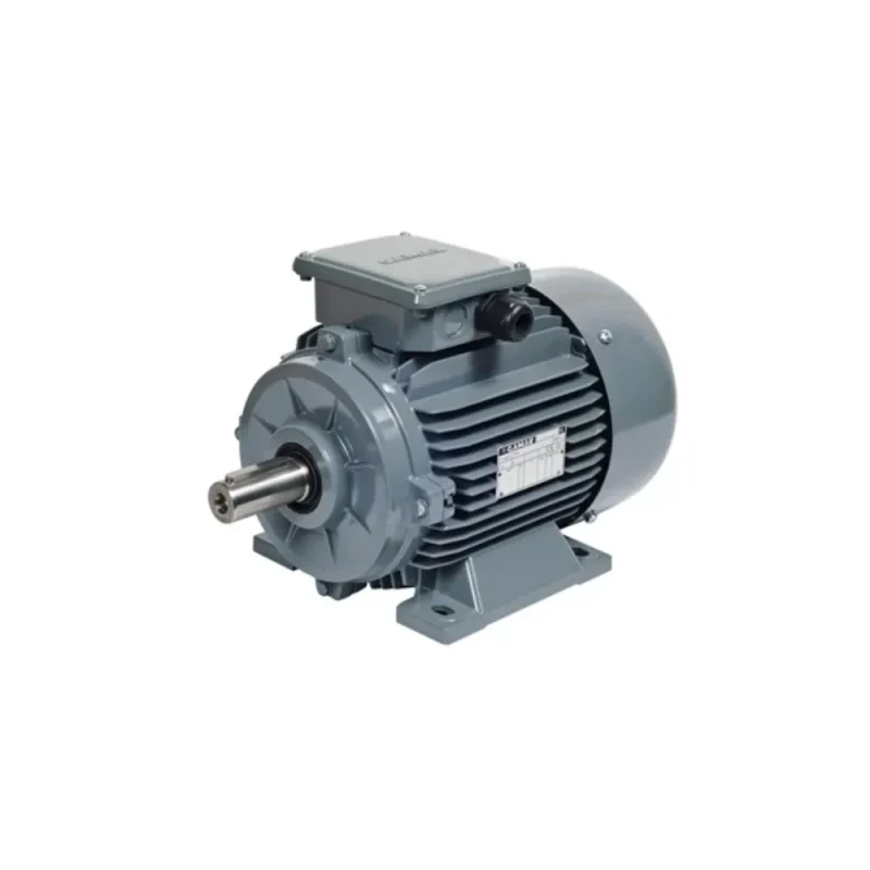 GAMAK 4kW ELEKTRİK MOTORU